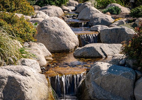 how to choose a location for a water feature