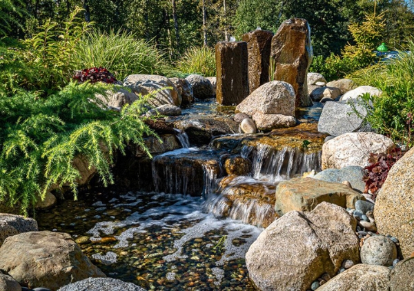 The Role of Aerators in Maintaining a Healthy Pond Ecosystem