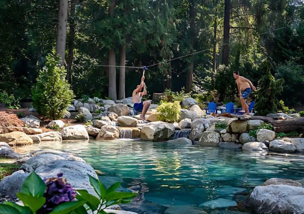 Seasonal Maintenance Guide for Swim Ponds