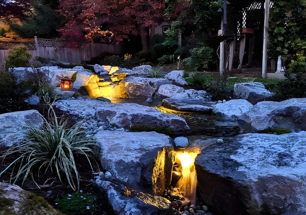 Accessories for Elevating a Pond’s Aesthetic